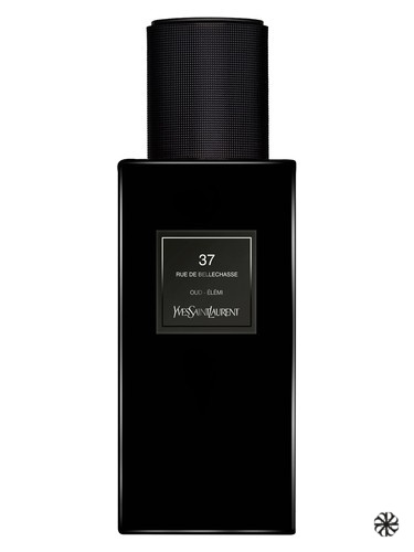37 rue de Bellechasse Yves Saint Laurent