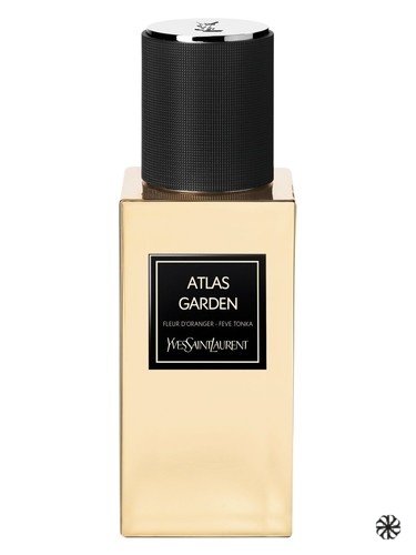Atlas Garden Yves Saint Laurent