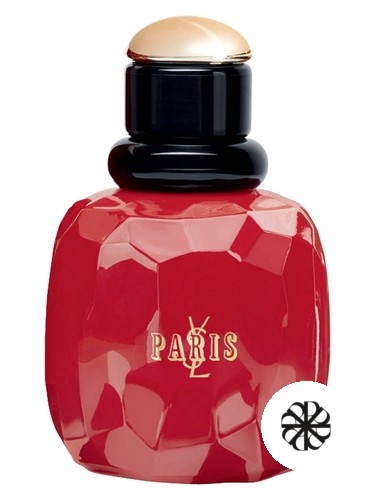 Paris Rebel Collector 2015 Yves Saint Laurent