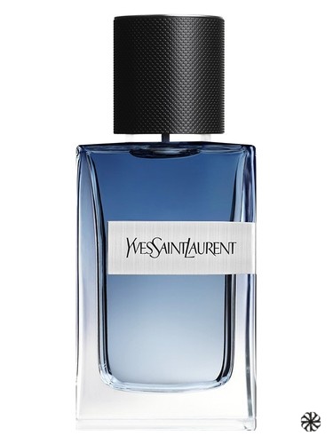 Y Live Yves Saint Laurent