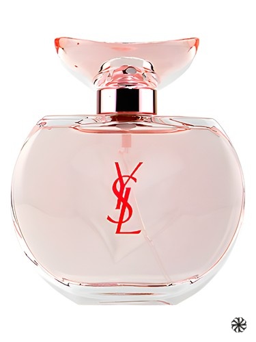 Young Sexy Lovely Yves Saint Laurent
