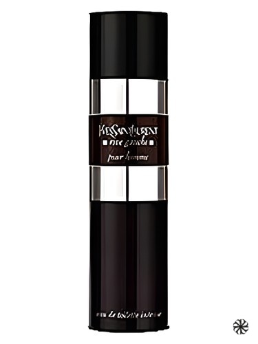 Rive Gauche Pour Homme Intense Yves Saint Laurent
