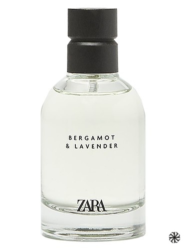 Bergamot & Lavender Zara