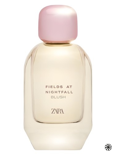Fields at Nightfall Blush Zara