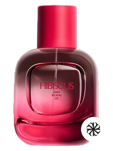 Hibiscus Zara