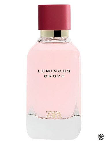 Luminous Grove Zara