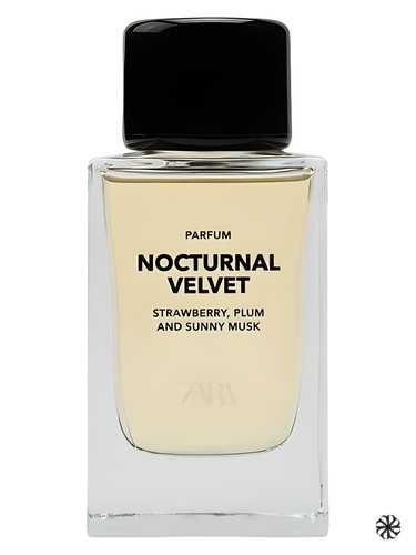 Nocturnal Velvet Zara