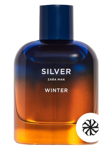 Silver Winter Zara Man Zara