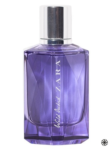 Wild Orchid Zara