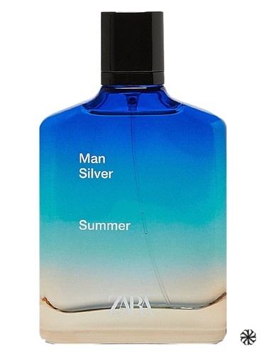Zara Man Silver Summer 2020 Zara