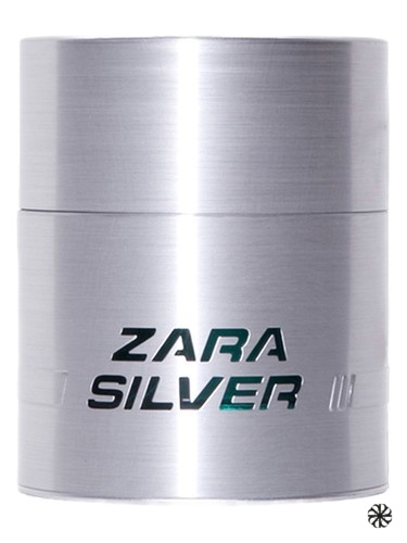 Zara Silver Zara