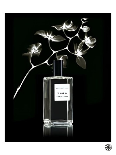 Flor de Azahar Zara