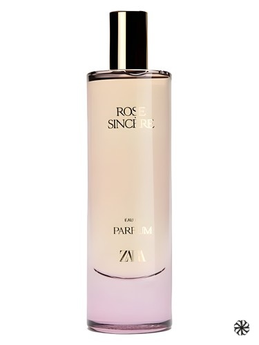 Rose Sincère Zara