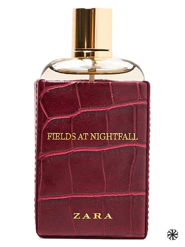 Fields at Nightfall 2018 Zara