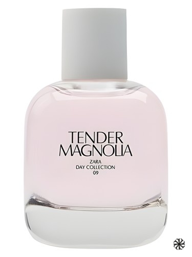 Tender Magnolia Zara