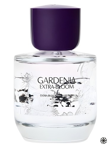 Gardenia Extra-Bloom Zara