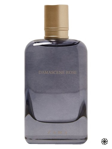Damascene Rose Zara