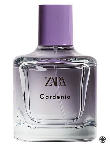 Gardenia Zara