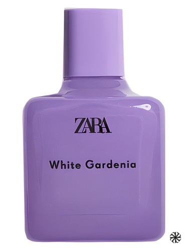 White Gardenia Zara