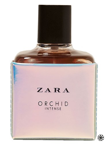 Orchid Intense 2017 Zara