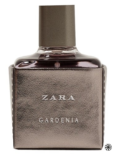 Zara Gardenia 2017 Zara