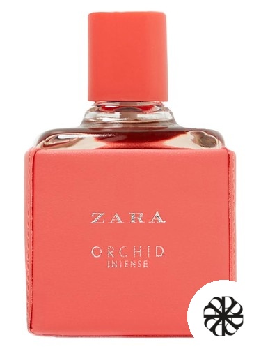 Orchid Intense 2018 Zara