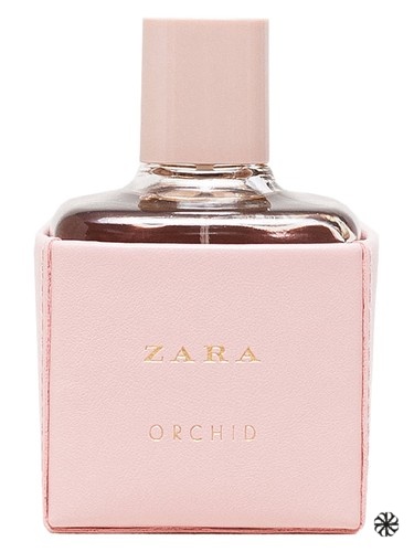 Zara Orchid 2016 Zara