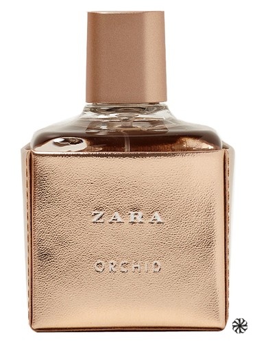 Zara Orchid 2017 Zara
