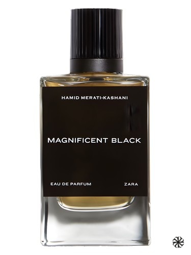 Magnificent Black Zara