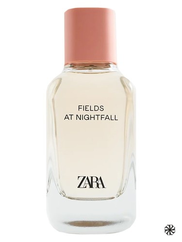 Fields at Nightfall 2020 Zara