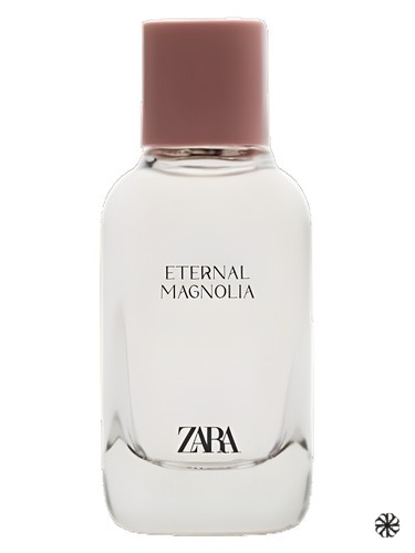 Eternal Magnolia Zara