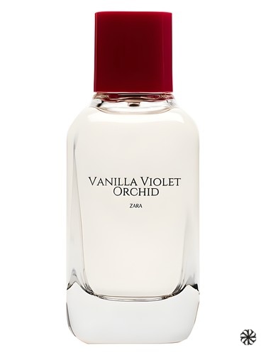Vanilla Violet Orchid Zara