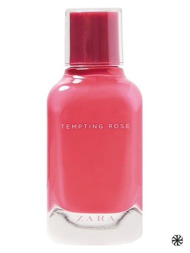 Tempting Rose Zara