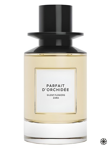 Parfait d'Orchidee Zara