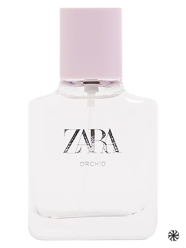 Orchid 2019 Zara