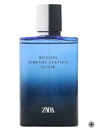 Vibrant Leather Bogoss Elixir Zara