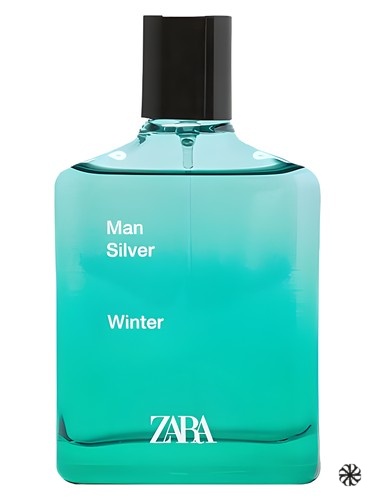 Man Silver Winter Zara