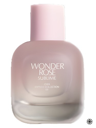 Wonder Rose Sublime Zara