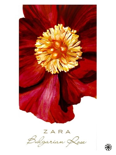 Bulgarian Rose Zara