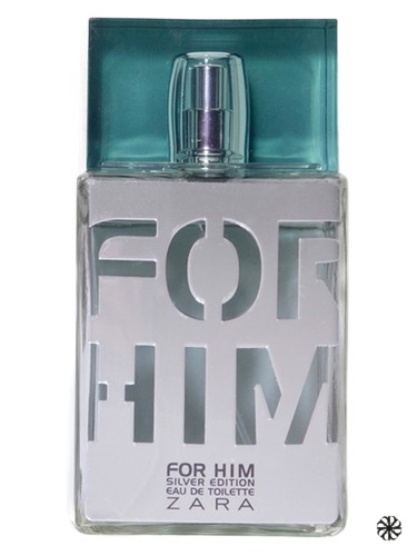 Zara for Him Silver Zara