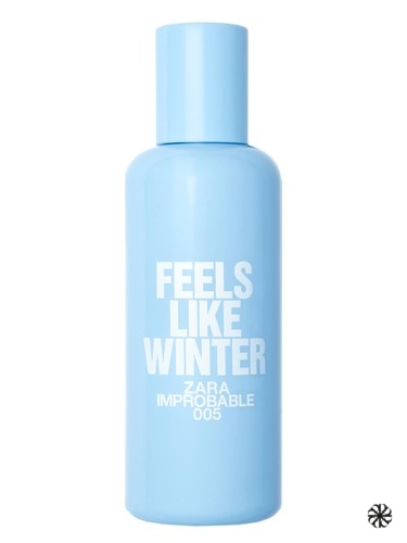 005 Feels Like Winter Zara