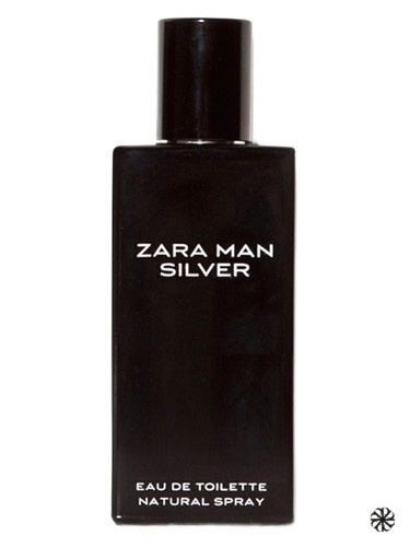 Zara Man Silver Zara