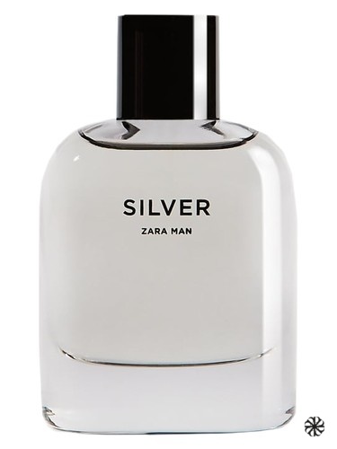 Silver Zara