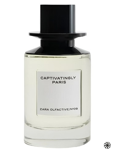 Captivatingly Paris Zara