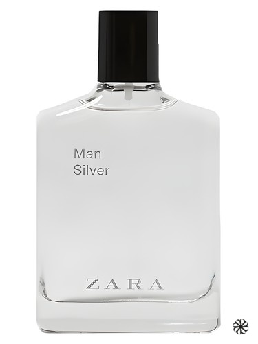 Man Silver 2019 Zara