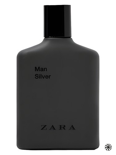 Man Silver 2017 Zara
