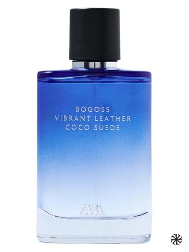 Vibrant Leather Bogoss Coco Suede Zara
