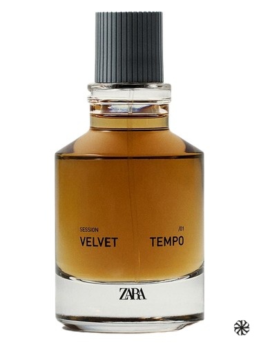 Session 01 Velvet Tempo Zara