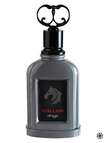 Stallion Zimaya