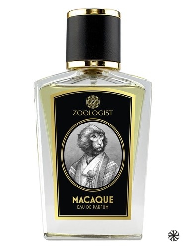 Macaque Zoologist Perfumes